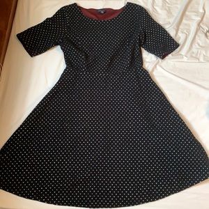 Black Land’s End dress
